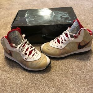 Lebron Nike Sneakers